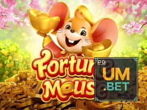 UM BET login — configurações de segurança e proteção de conta
